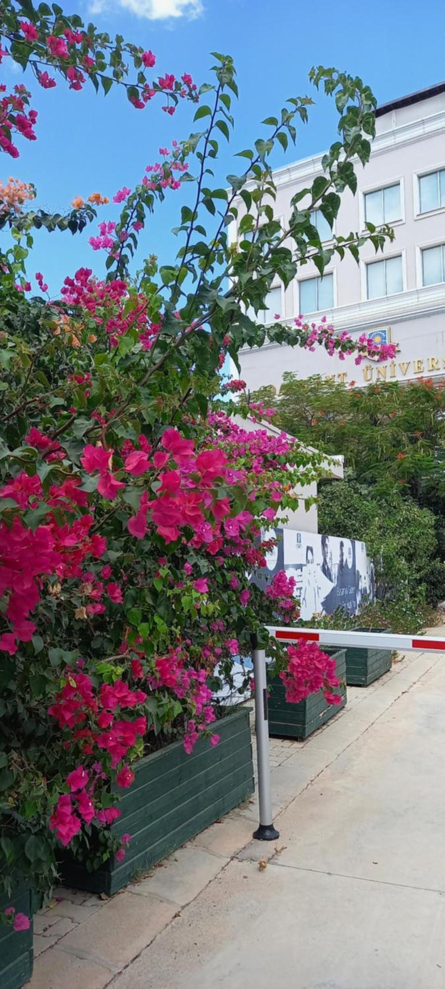 Studio Lux Famagusta  Exterior photo